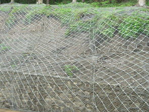 安平縣騰捷金屬絲網(wǎng)制品廠 專業(yè)金屬絲網(wǎng)制品領域的卓越之選